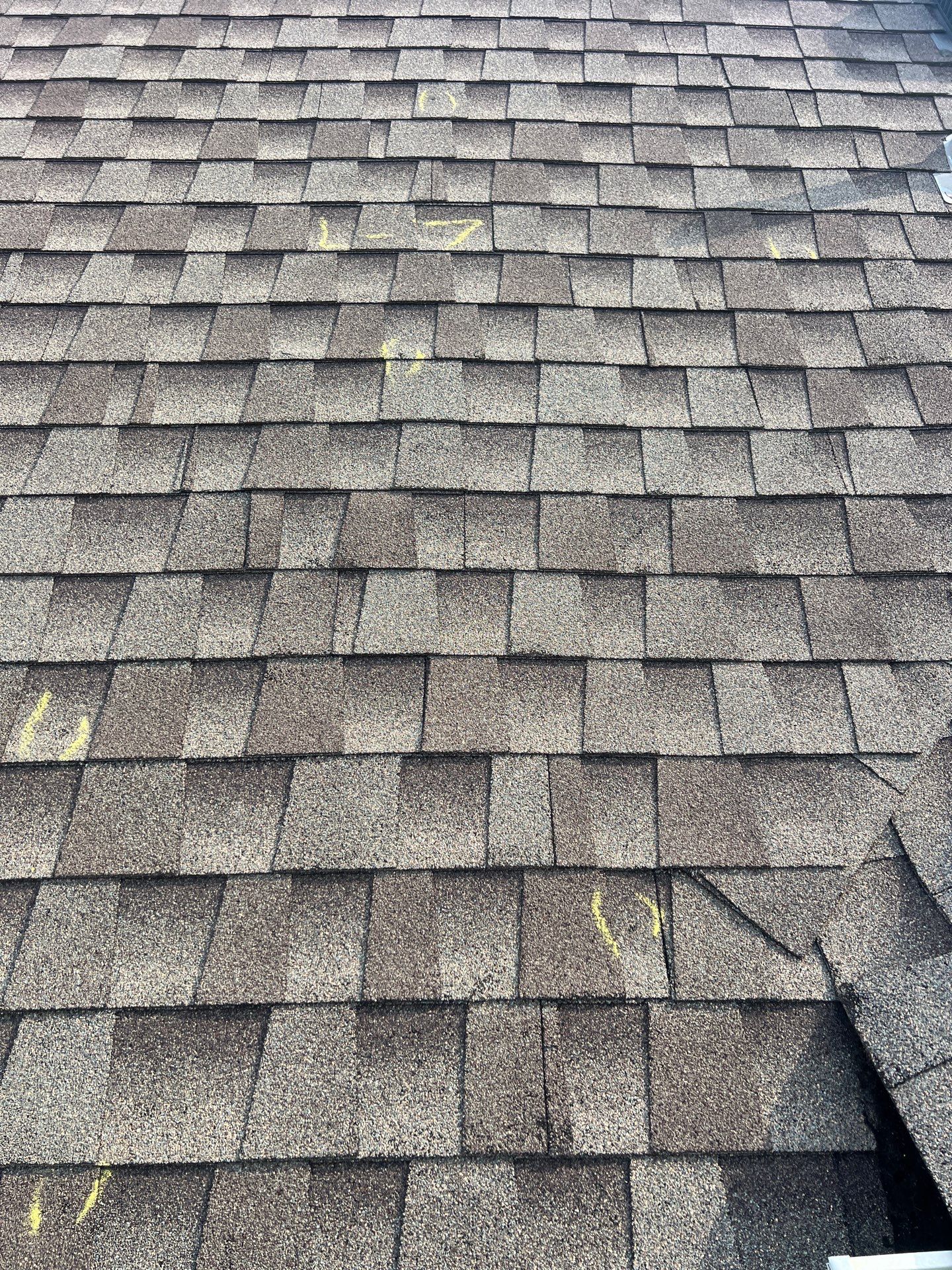 Visible Signs of Roofing Issues
