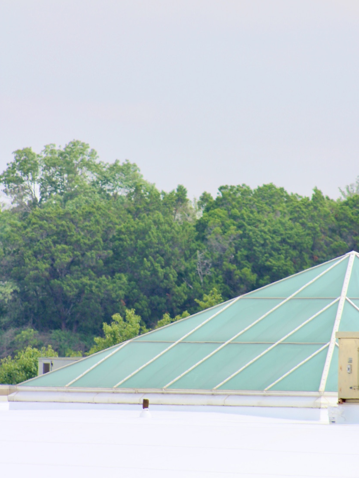 Skylight Inspiration